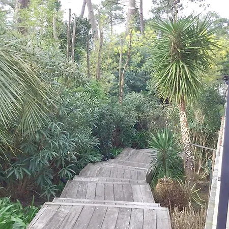 Family Summer House *